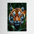 Tigers Eye Minimalist Canvas